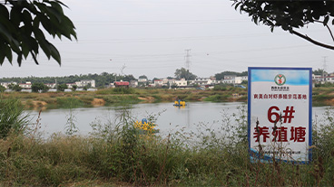 陆基桶高密度圈养